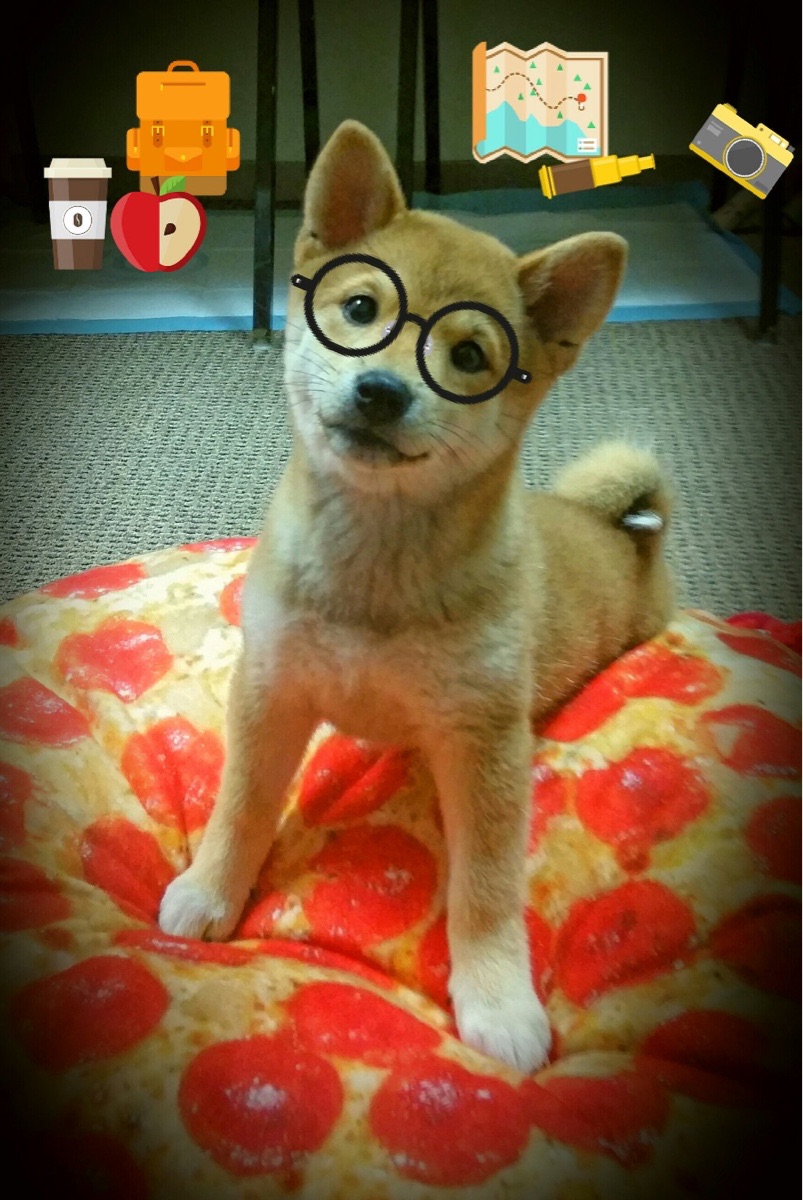 本泽马的魔术与日本的铁壁，当个人英雄主义遭遇集体主义美学