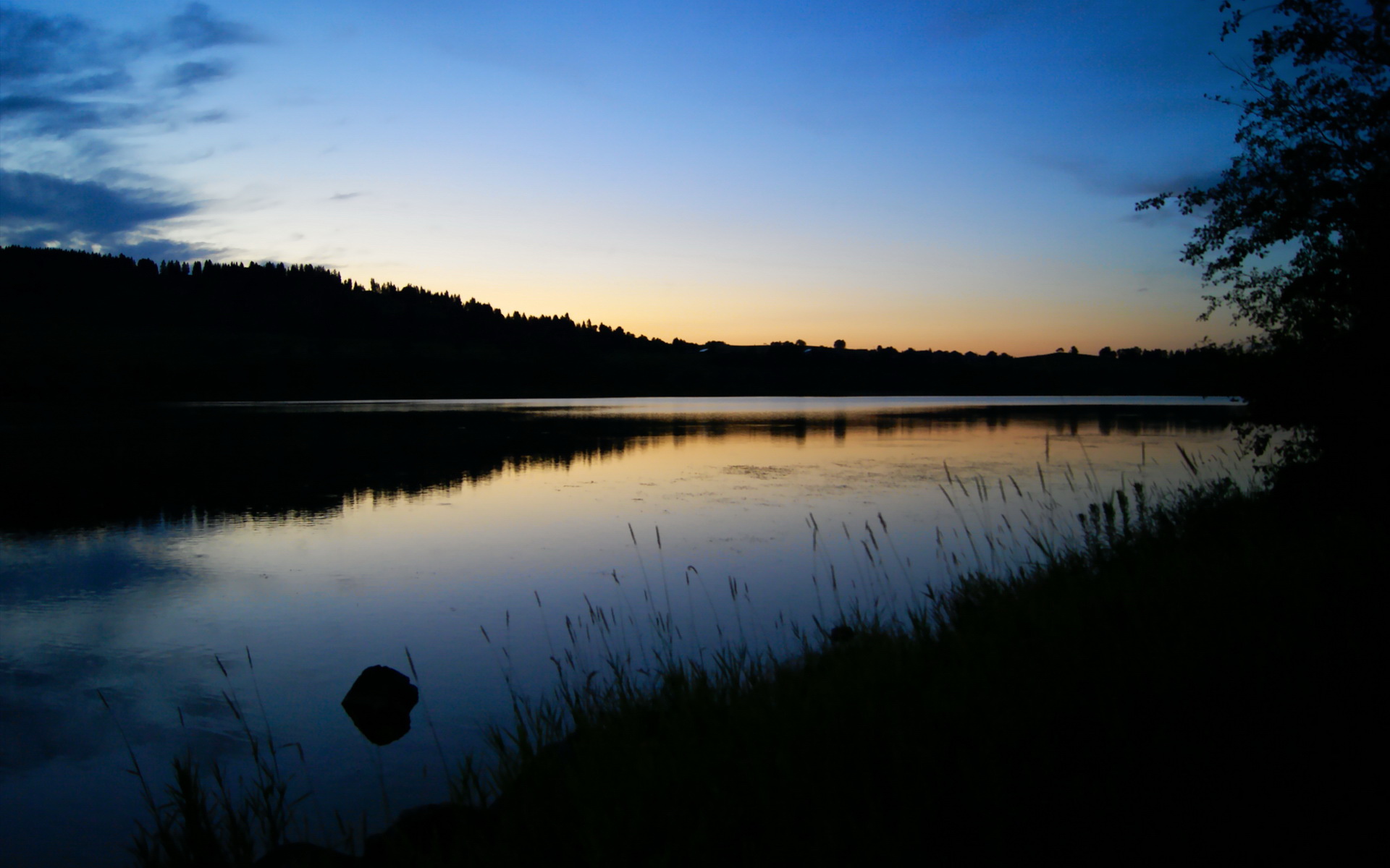 F1街道赛之夜，霍勒迪的舞台越大越强