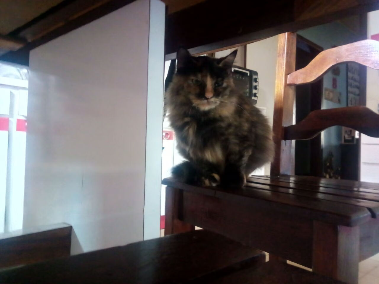 奇才硬仗取胜森林狼，美加墨世界杯焦点战的战术启示