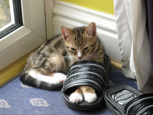 2026世界杯之夜，拉什福德末节接管比赛，英格兰荣耀加冕