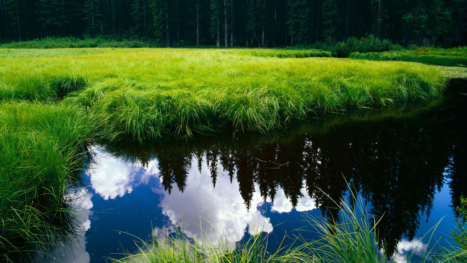 西甲德比式逆袭！吉林草根战队如何正面击溃NBA豪华战舰快船？