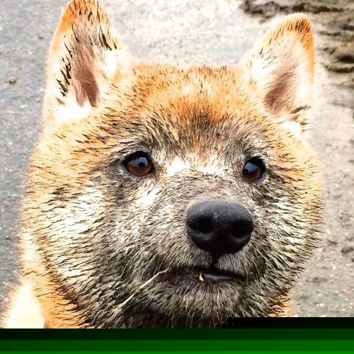 英超争冠之夜，阿圭罗，那个用一秒定义永恒的攻防转换核心