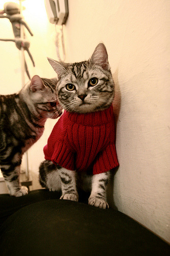 巨星之光，姆巴佩在伊朗对阵冰岛比赛中的价值展现