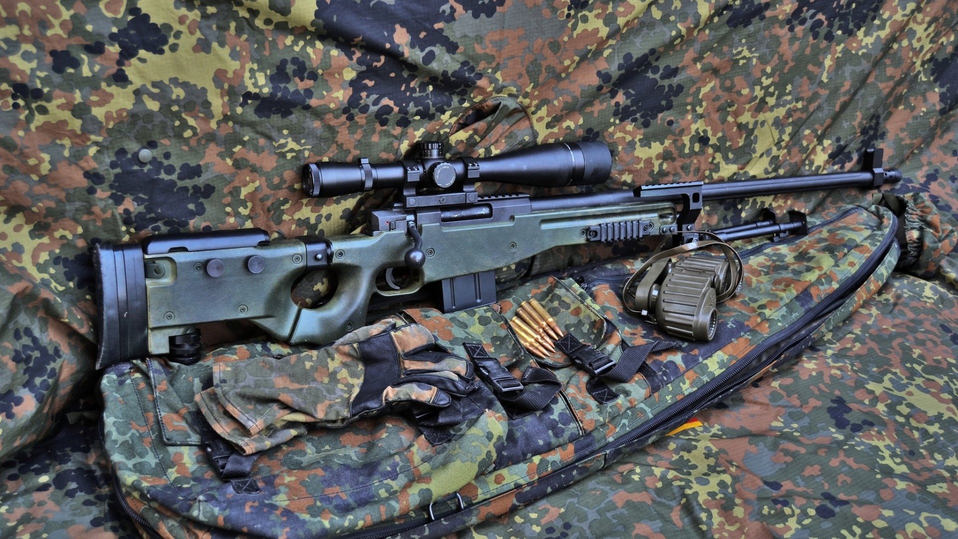 太阳焚尽灰熊，莫兰特逆光独舞