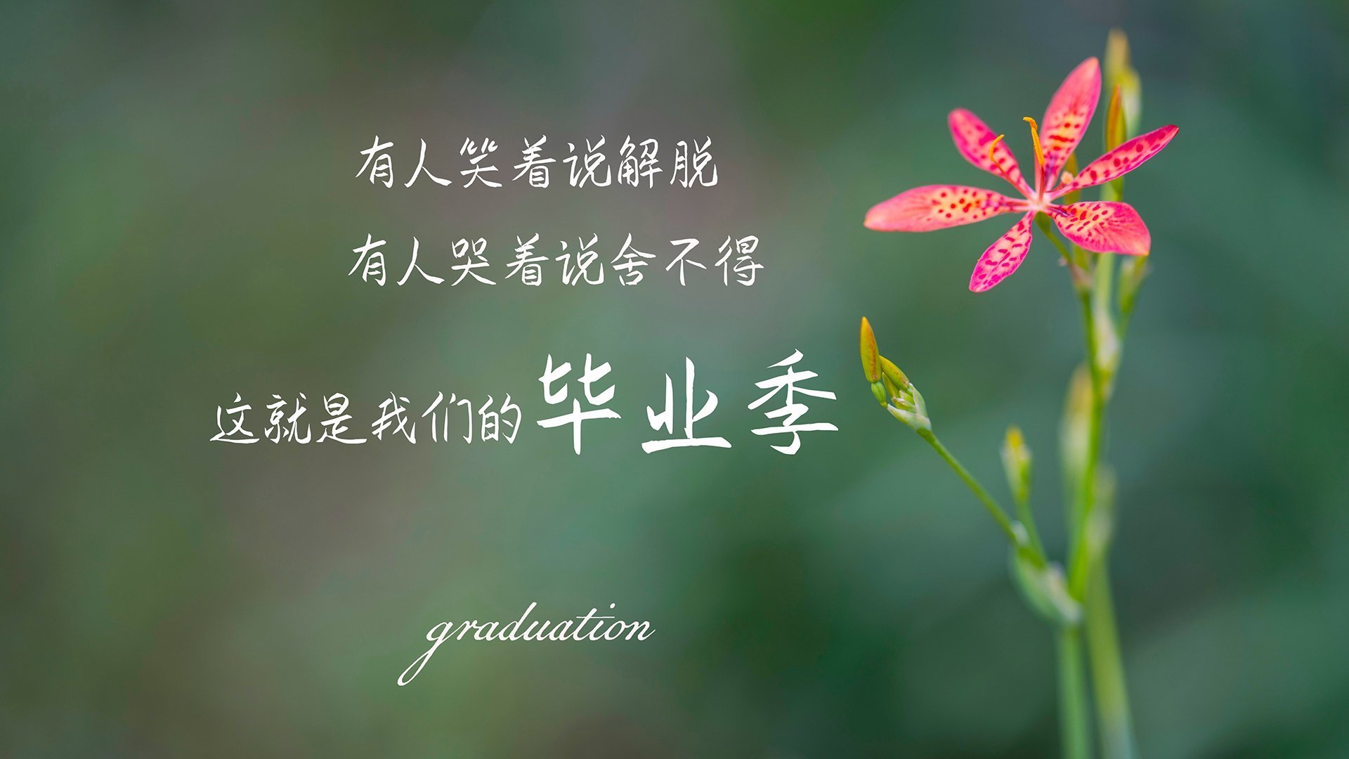 开云体育在线-克莱登顶封神，广厦队全方位碾压上海队