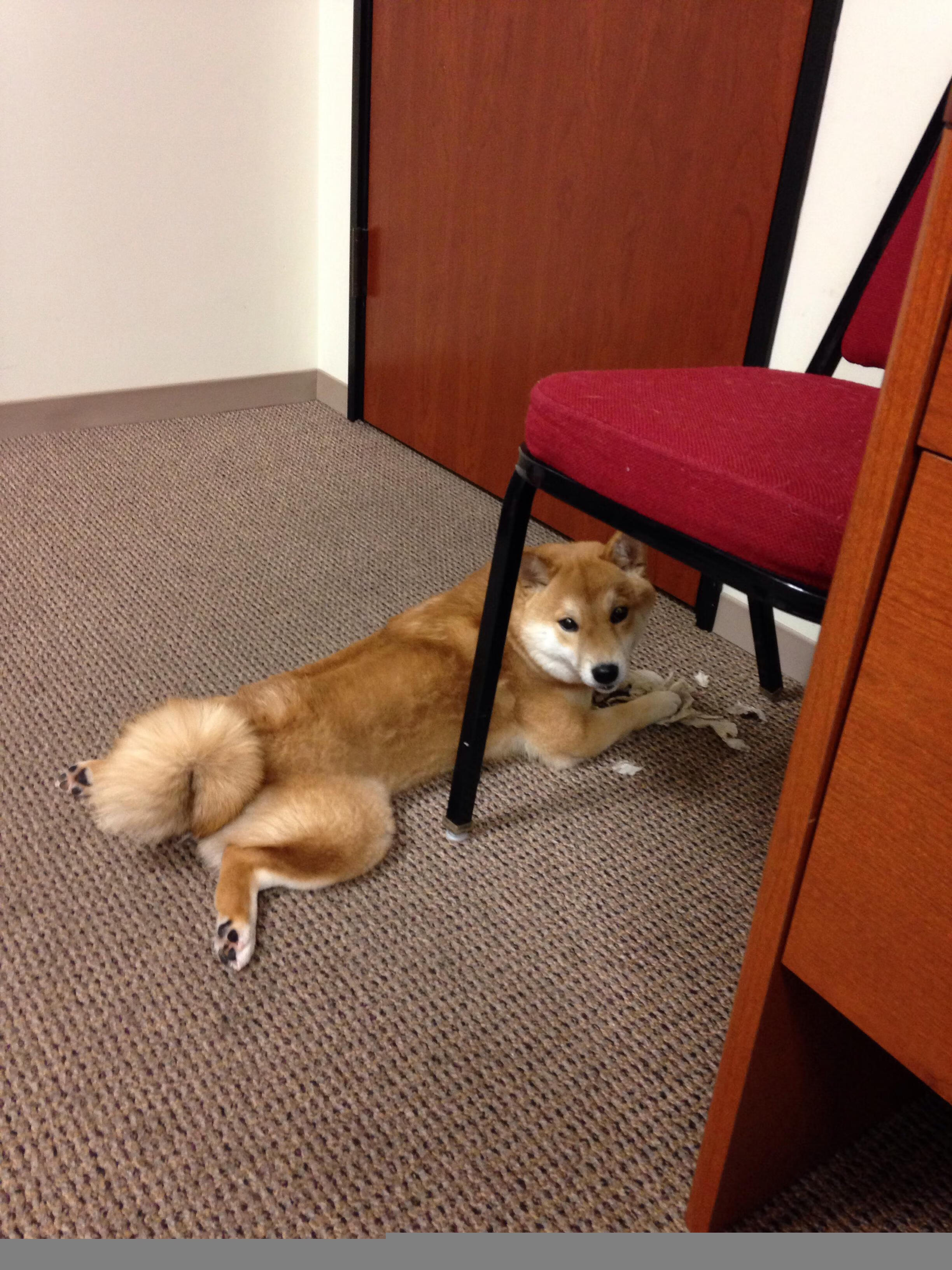 疾驰之夜,F1新赛季揭幕战的银箭与贝恩的里程碑